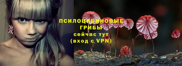 дживик Армянск