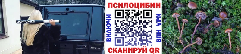 Галлюциногенные грибы мицелий  Спас-Деменск 